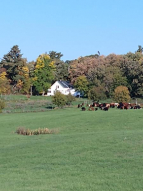 Secluded Farmhouse in Brainerd Lakes Area Large Yard with views